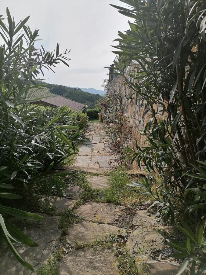 Apartma Suzy Pobegi Bagian luar foto